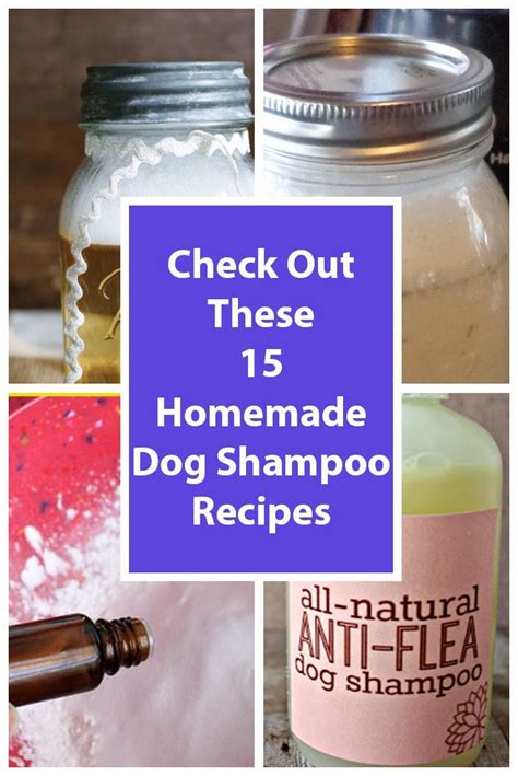 15 Homemade Dog Shampoo Recipes | Homemade dog shampoo, Dog shampoo ...