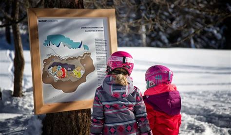 Domaine Skiable De Sainte Foy Tarentaise