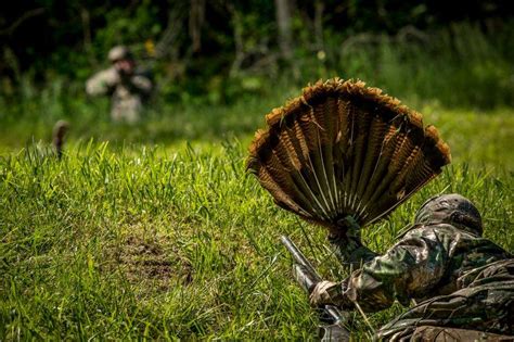 Realtree Turkey Hunting Safety Tips Realtree Camo