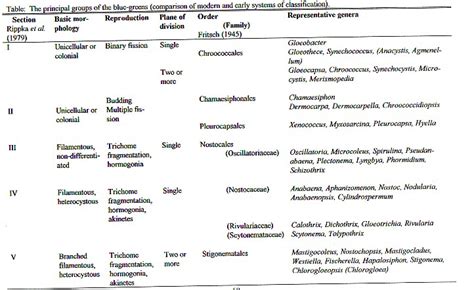 The Blue Green Algae Cyanobacteria