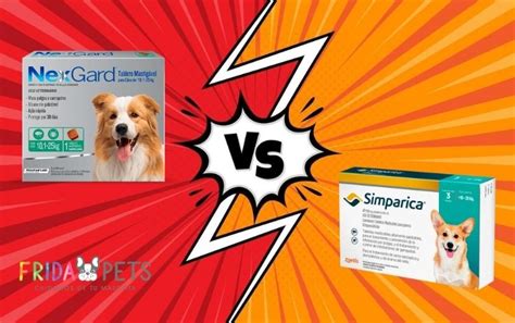 NexGard Vs Simparica: Vet-Explained Pros, Cons, Differences, 43% OFF