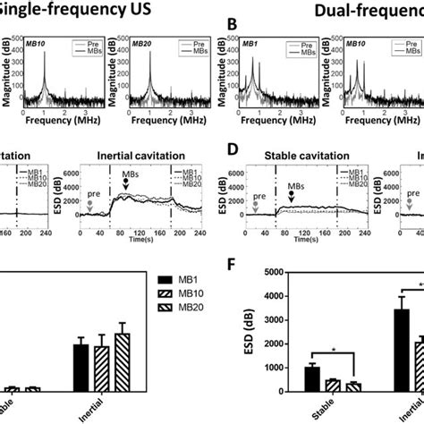 Energy Spectral Density In Single Frequency Us Sonication And