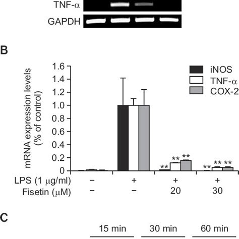 Chemical structure of fisetin. | Download Scientific Diagram 
