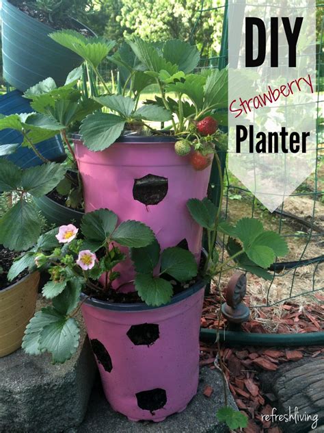 Strawberry Planters Diy