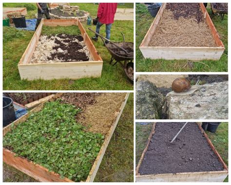 Oubliez les jardins traditionnels passez à la lasagne Découvrez