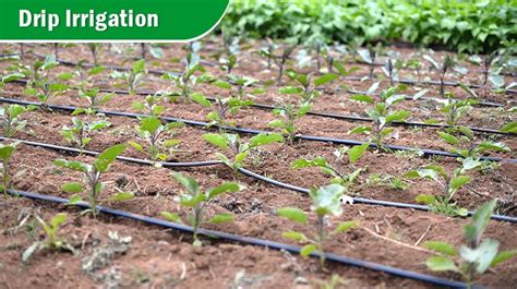 What Is Irrigation System Different Types And Methods Of Irrigation