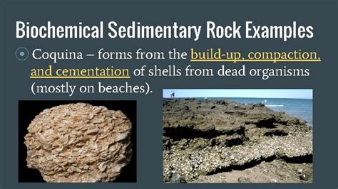 Sedimentary Rock Examples