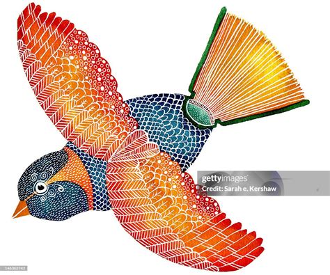 Book Bird High-Res Vector Graphic - Getty Images