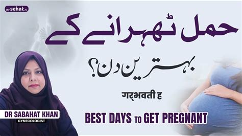 Hamal Tehrane Ky Behtareen Din Best Days To Get Pregnant Jaldi