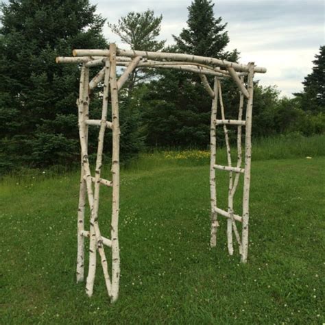 White Birch Branches Etsy