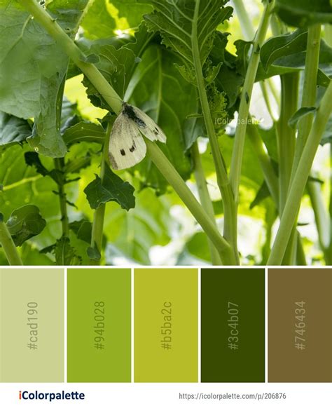 Color Palette Ideas From 2965 Leaf Images Icolorpalette Plant