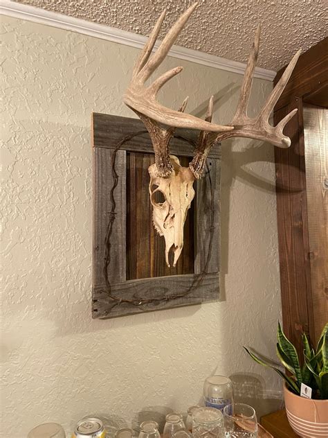 Rustic European Deer Mount Plaque Etsy