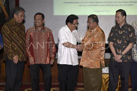 PENGEMBANGAN KELAPA SAWIT BERKELANJUTAN ANTARA Foto