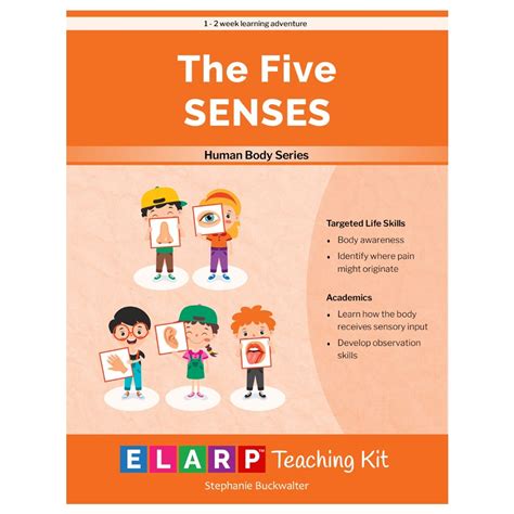 Five Senses Teaching Kit Elarp Learning