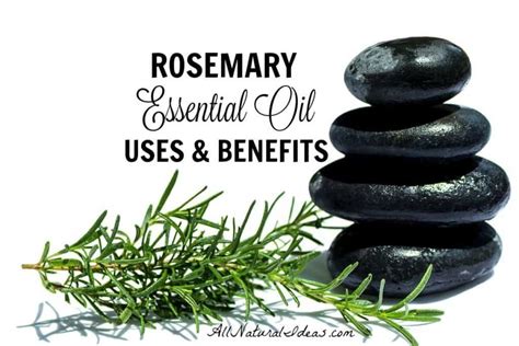 Rosemary Essential Oil Uses And Benefits All Natural Ideas