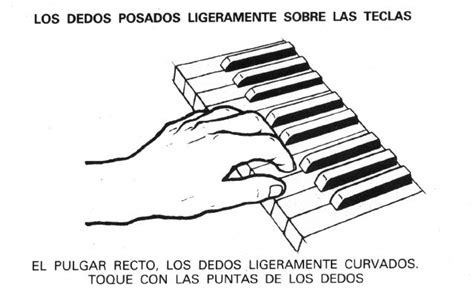 Todo Sobre Flauta Y Piano Y Guitarra Curso Principiante Comenzamos