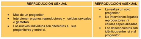 Diferencias Entre Reproducción Sexual Y Asexual Cuadros Comparativos