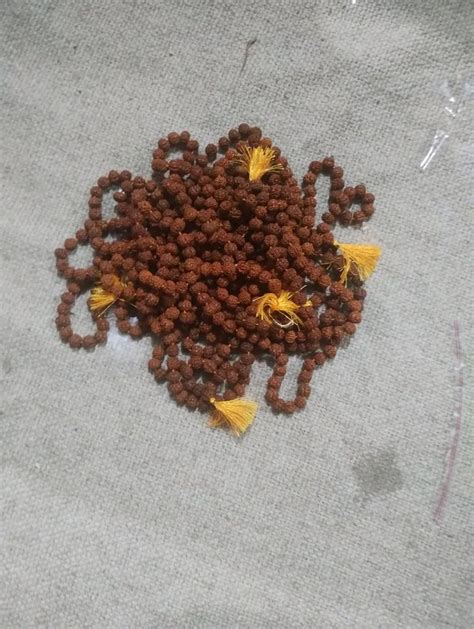 Brown Rudraksha Mala Spiritual Use Pooja At Rs In Varanasi Id