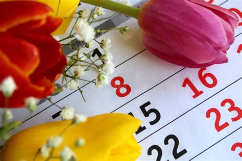 Calendario Con El N Mero Rodeado De Flores De Tulip N Foto De Archivo