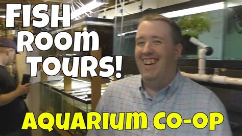 Fish Room Extravaganza With Aquarium Co Op Outdoor Breeding And Huge