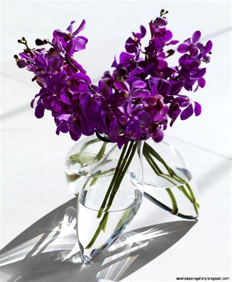 Beautiful Purple Flowers In A Vase Wallpapers Gallery