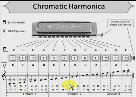 diatonic harmonica studies  beginners notes research resources