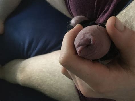 Bound Balls And Cock With Rings And Cocksleeves Nude Pics Xhamster