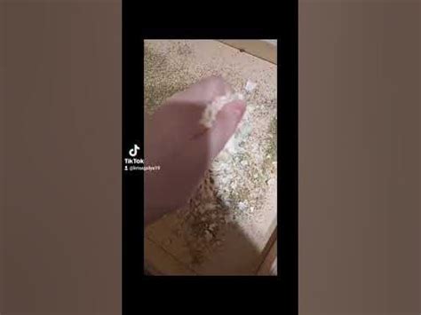 Копошилка для попугаев #попугай #корелла #волнистыйпопугай - YouTube