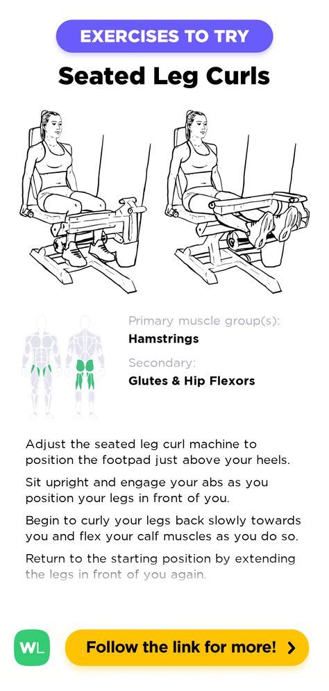 Seated Leg Curl