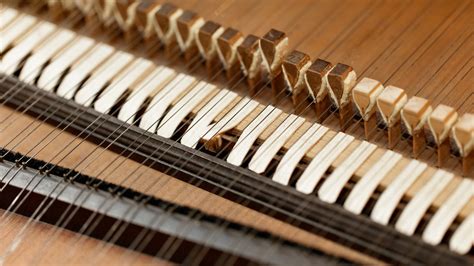 Harpsichord Vs Piano Pianolit Blog