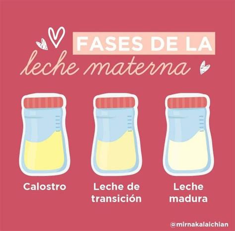 Composición de la leche materna y sus etapas by Betzabe Meléndez