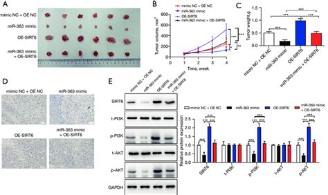 Mir Affects Proliferation And Apoptosis Of Nktcl Via The