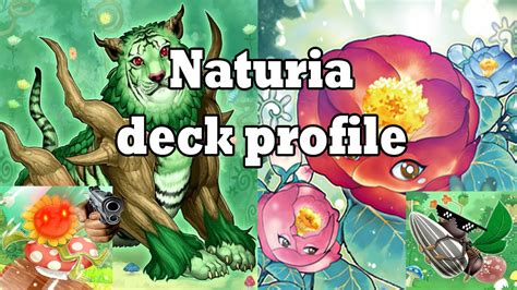 NATURIA DECK PROFILE Yugioh TCG YouTube