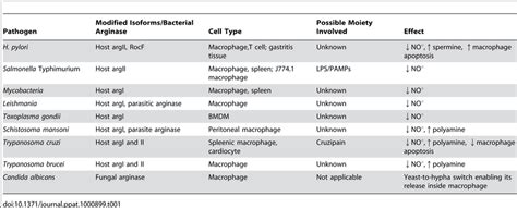 Modulation of arginase by various pathogens. | Download Table