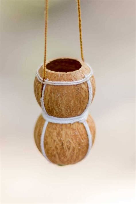 Two Coconuts Are Hanging From Strings In The Air