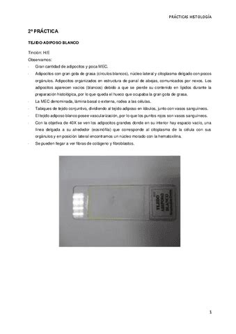 LA SANGRE Y Sist Circ Pdf