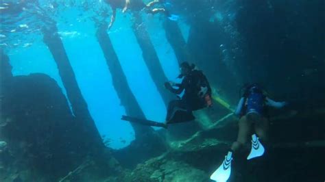 Bimini Shark Dive June 17 2022 Jc Exploring The Shipwreck Youtube