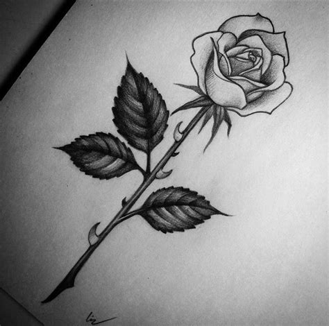 Rose sketch tattoo idea | White rose tattoos, Rose tattoo design, Rose ...