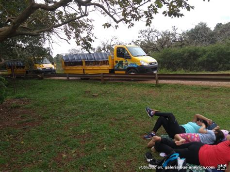 Que Carrocer A Es Iveco Daily C Paso Iguaz Jungle Bus