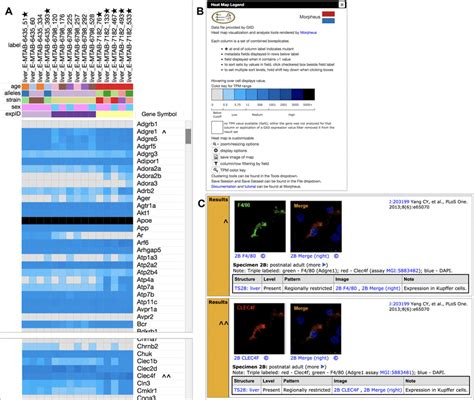 Heat Map Of Rna Seq Results Expression Heat Map Of Rna Seq Data From