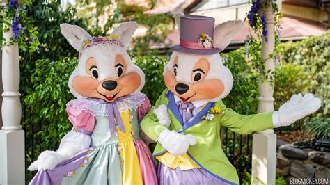 Mr And Mrs Easter Bunny Now Meeting At Magic Kingdom For Easter Week