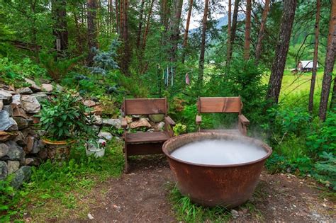 Images De Bain Foret T L Chargement Gratuit Sur Freepik