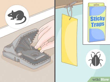 13 Ways To Get Rid Of Household Pests Without Chemicals WikiHow