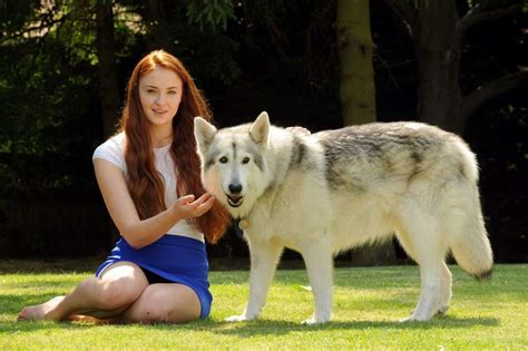 Sophie Turner with wolf -02 | GotCeleb