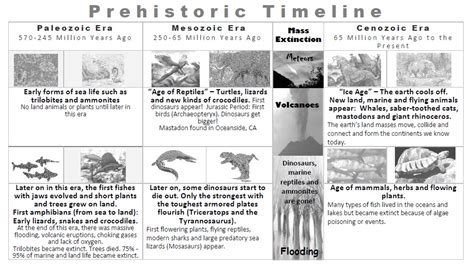 The Paleozoic Era