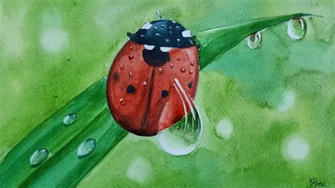 Painting Ladybug With Watercolour Water Drops Youtube