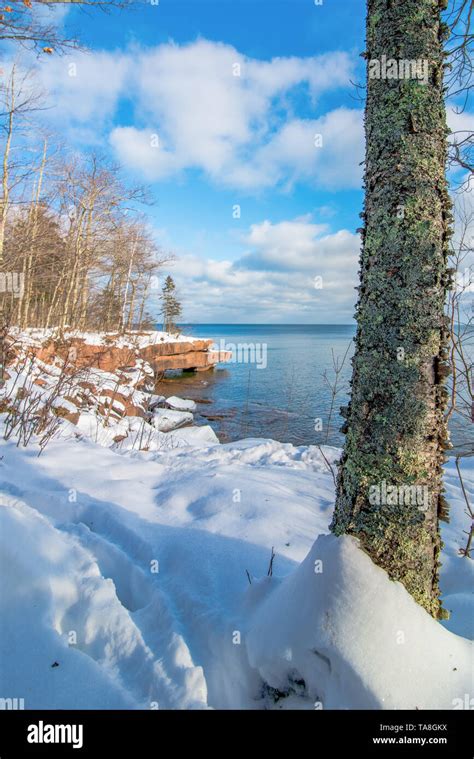 Beautiful Trees And Lake Superior Coastline In The Cold And Snow At Big