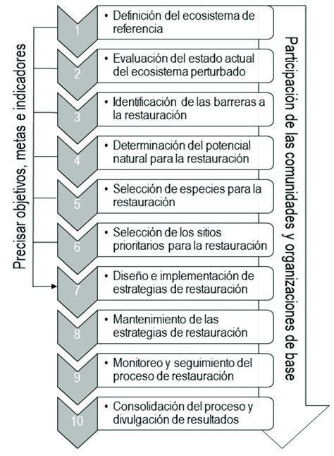 4 Pasos para el abordaje de un proyecto de restauración ecológica