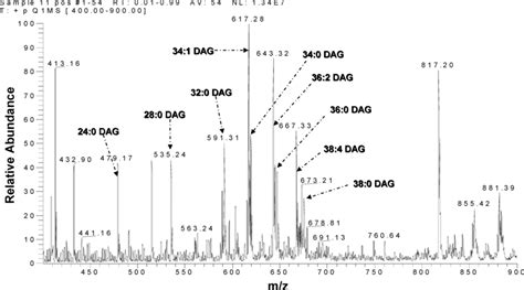 Positive Esi Mass Spectrum After Adding A Mixture Of Nine Download