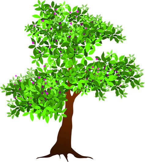 tree illustration png 13091732 PNG